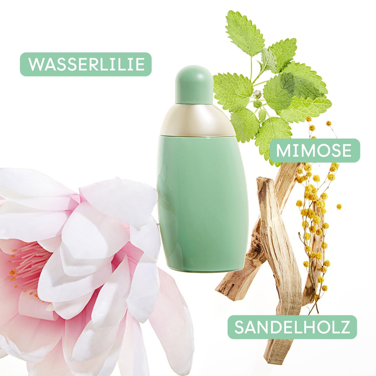 Cacharel Eden, Eau de Parfum voor dames in spray, geur van patchouli en vers fruit